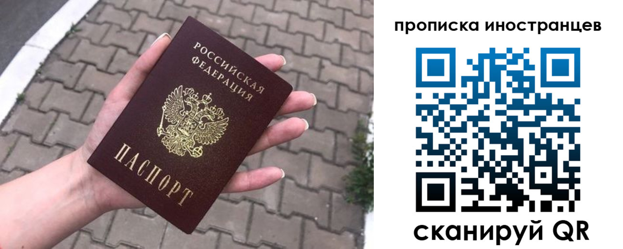 регистрация для школы в Лыткарино